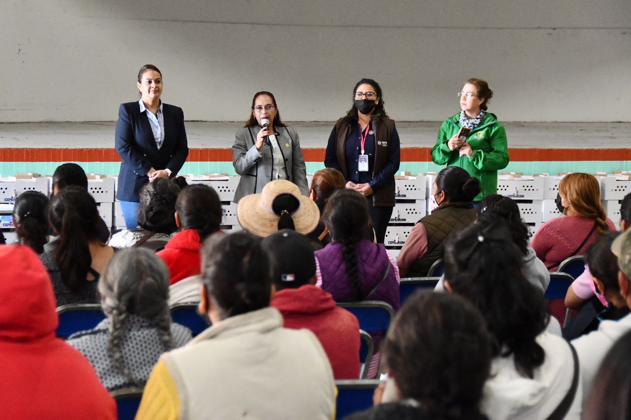 160 familias de Huamantla fortalecen su alimentación y economía con aves de traspatio
